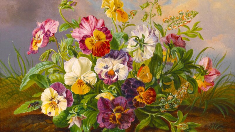 Pansy Flowers in Garden — Purple, Serene, Afternoon, Painting