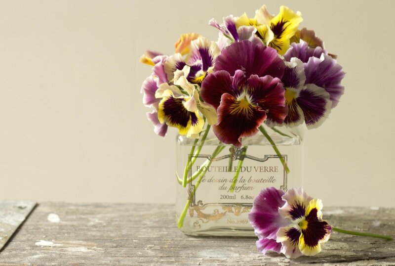 pansy flowers in glass bottle