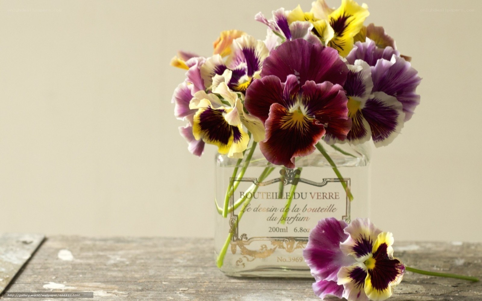 pansy flowers in glass bottle