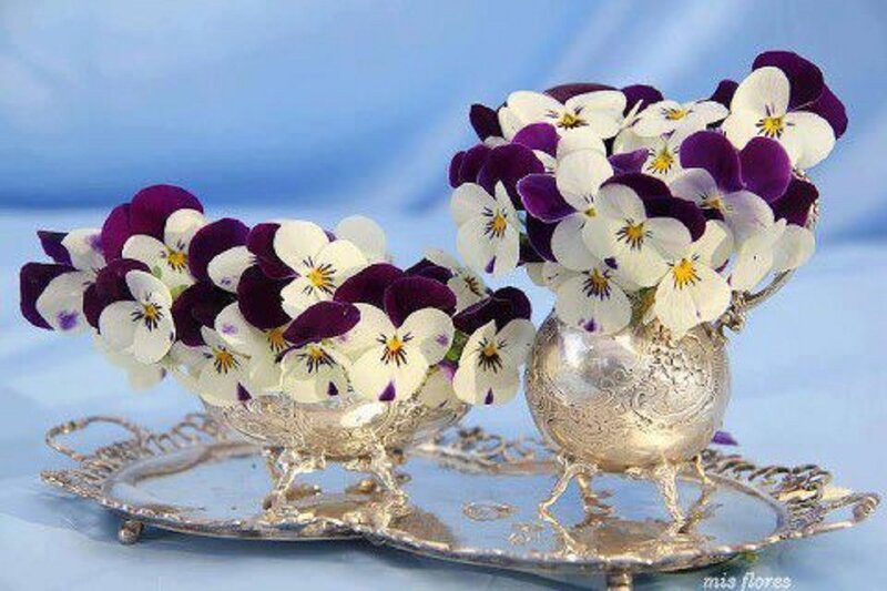 Pansy Flowers in Silver Vases