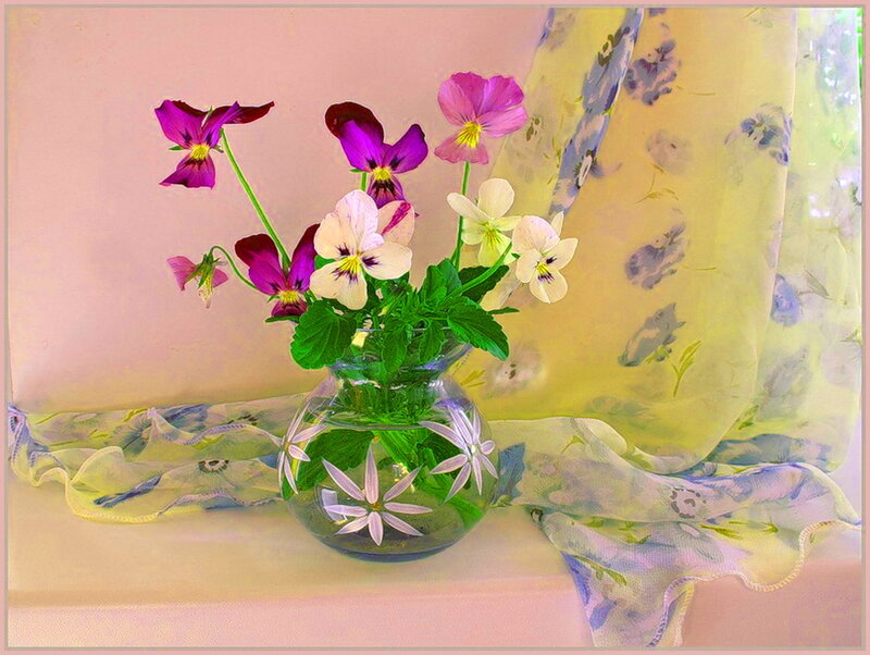 Pansy Flowers in Vase — Pink, Serene