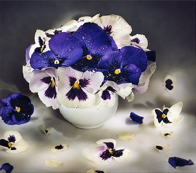 Pansy Flowers in Vase — Purple, Dramatic