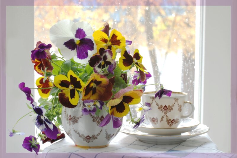 Pansy Flowers in Vase — Purple, Serene, Autumn