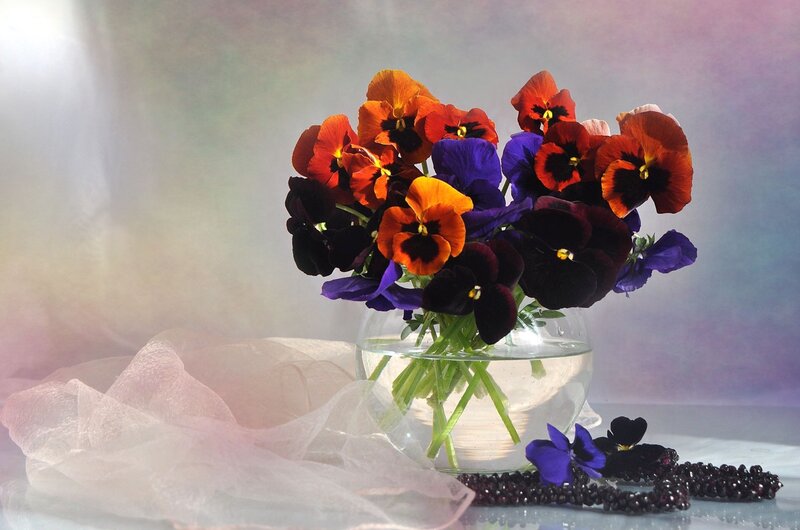 Pansy Flowers in Vase — Purple, Serene, Photograph