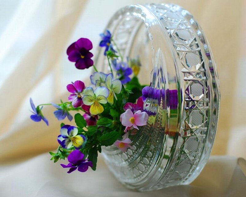 Pansy Flowers in Vase — Purple, Serene