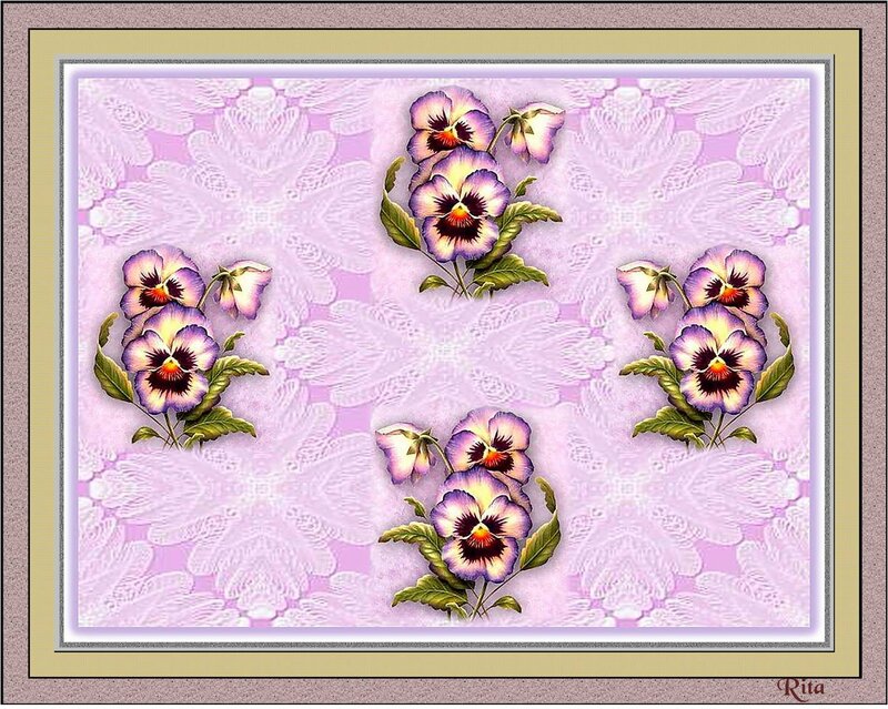 Pansy Flowers on Lace