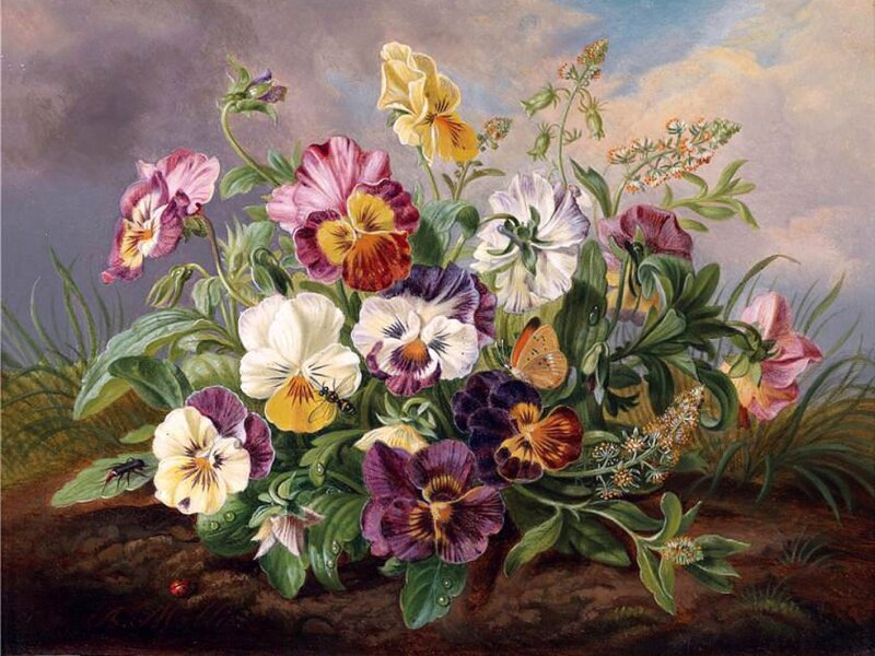 Pansy Flowers with Insects