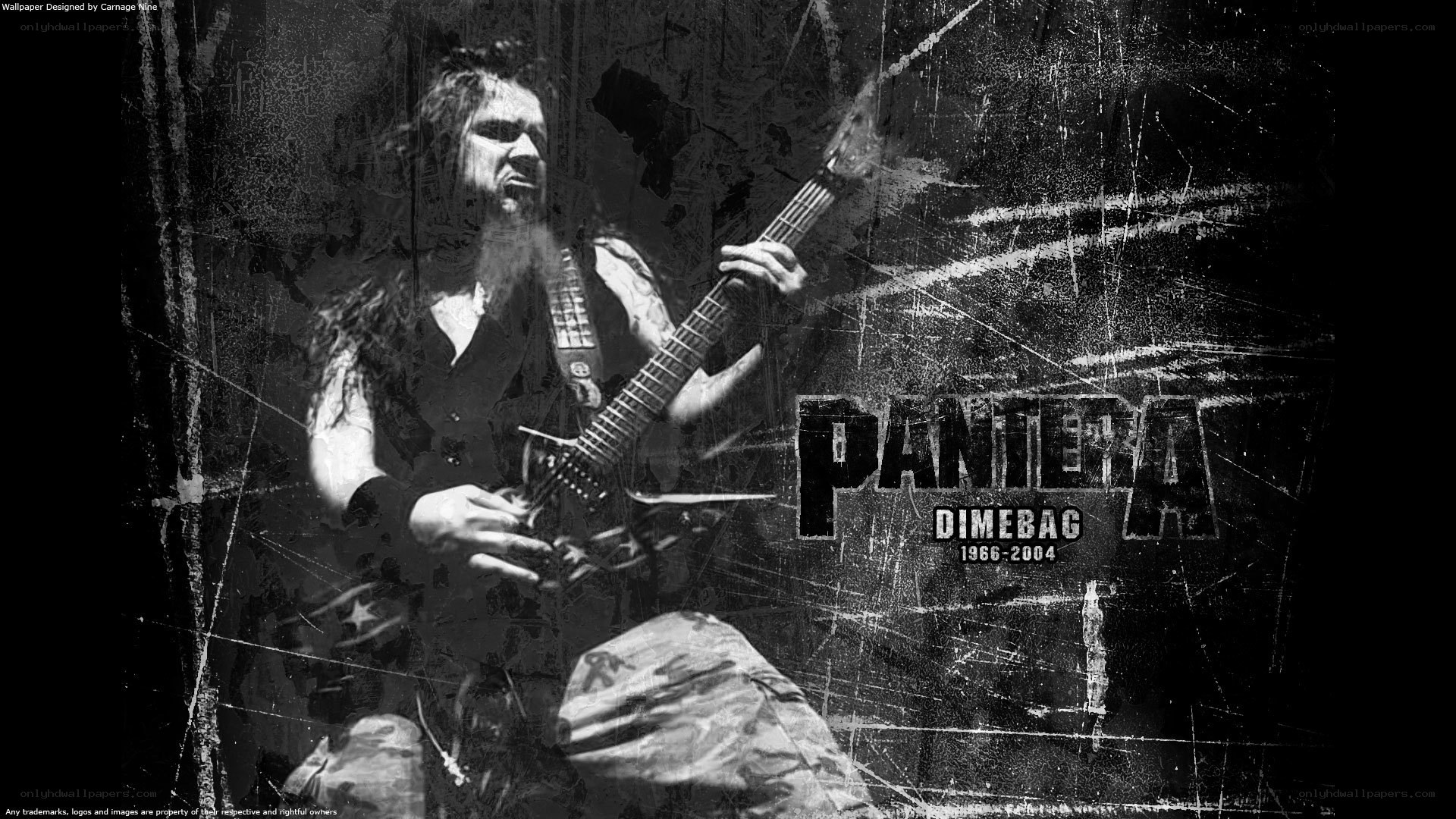 Pantera guitarist tribute