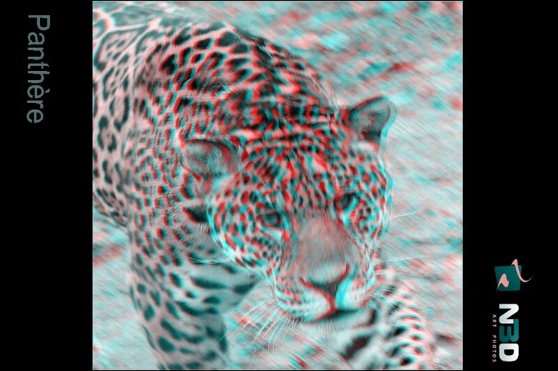 Panther in 3D effect