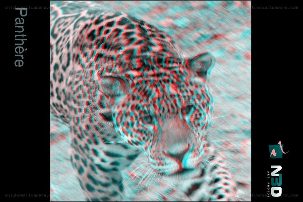 Panther in 3D effect