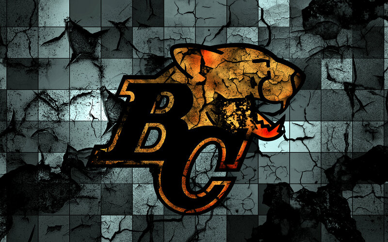 Panther Logo on Cracked Wall