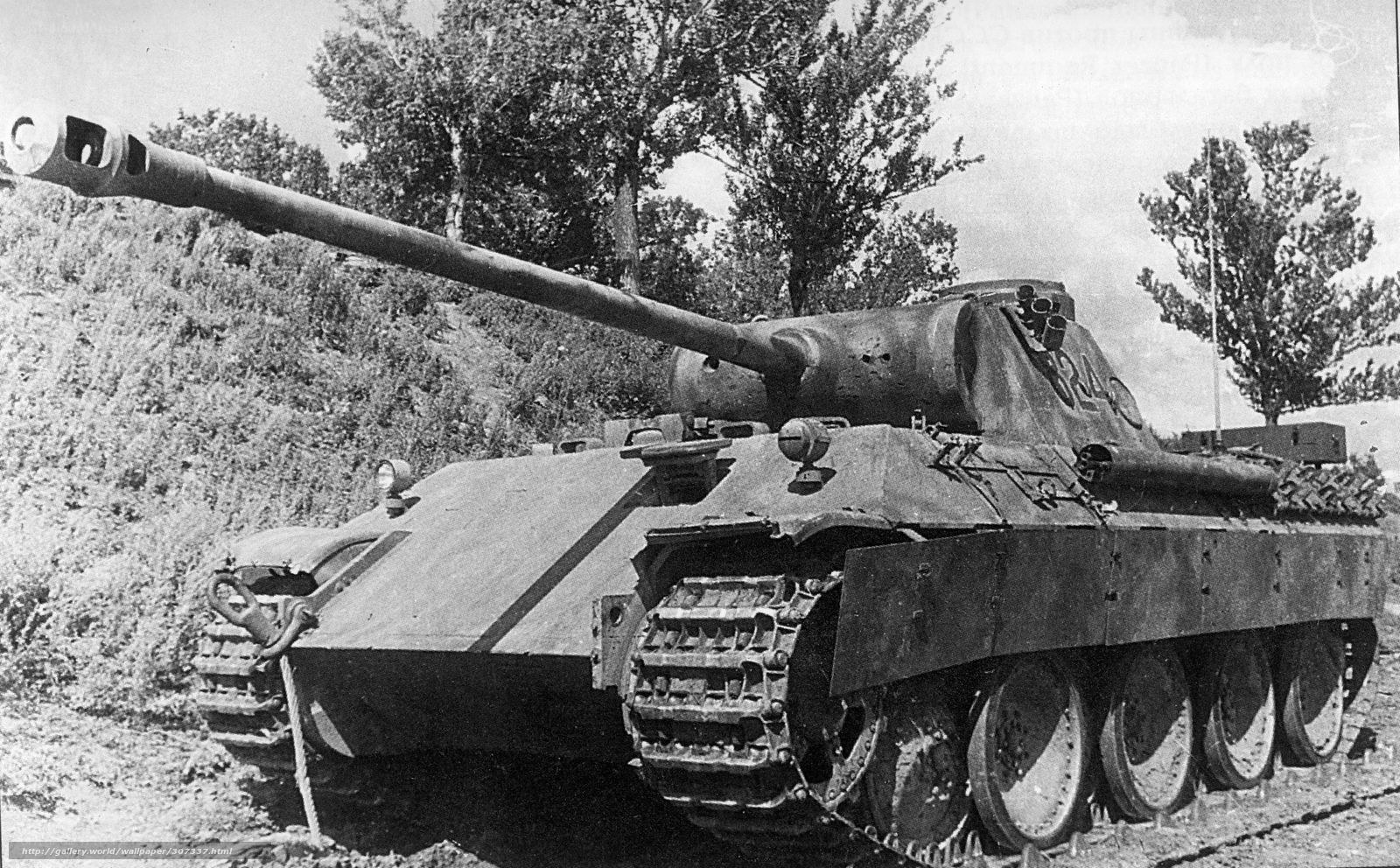 Panther tank in field
