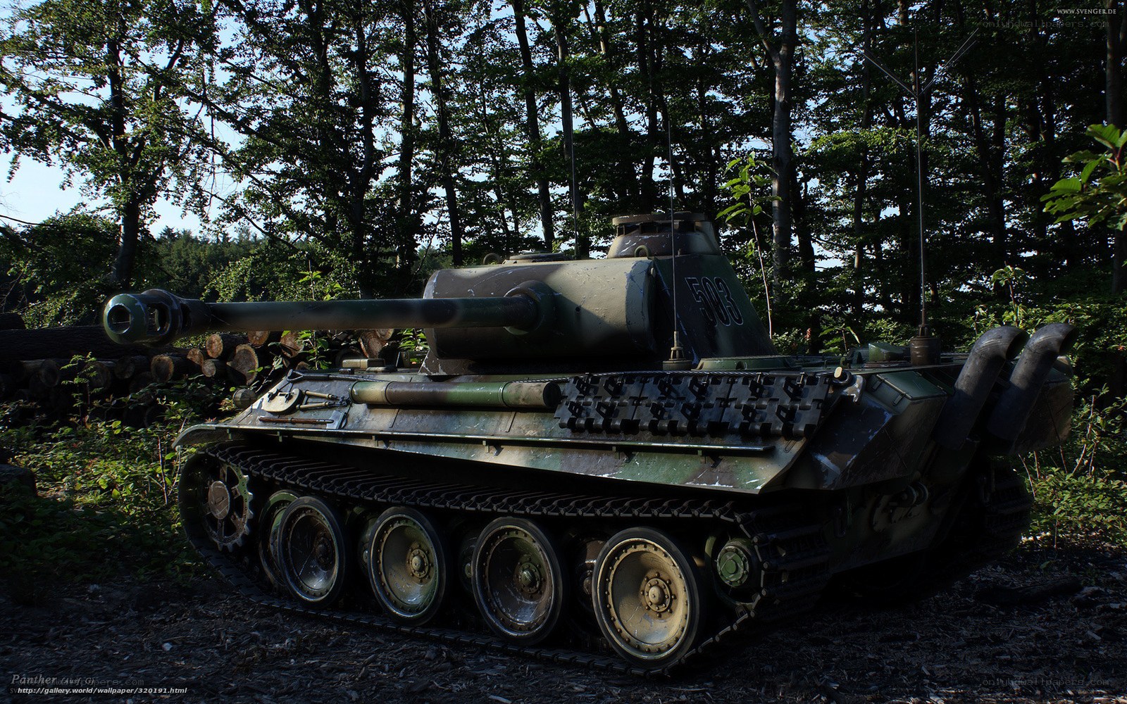 Panther tank in forest