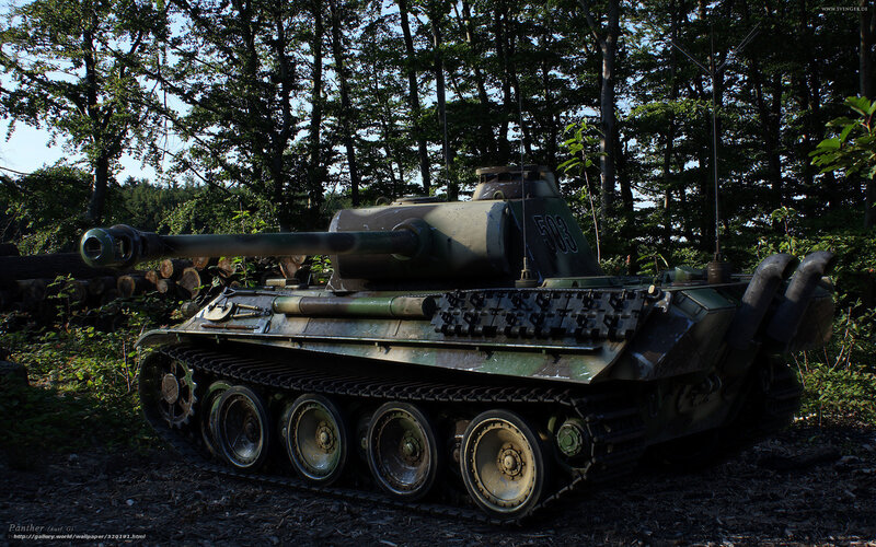 Panther Tank in Forest — Green