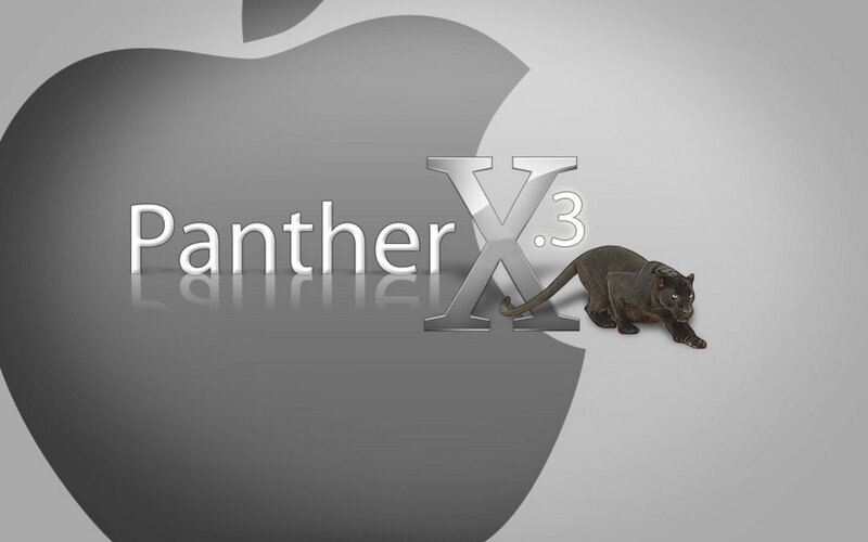 Panther X.3 logo with panther