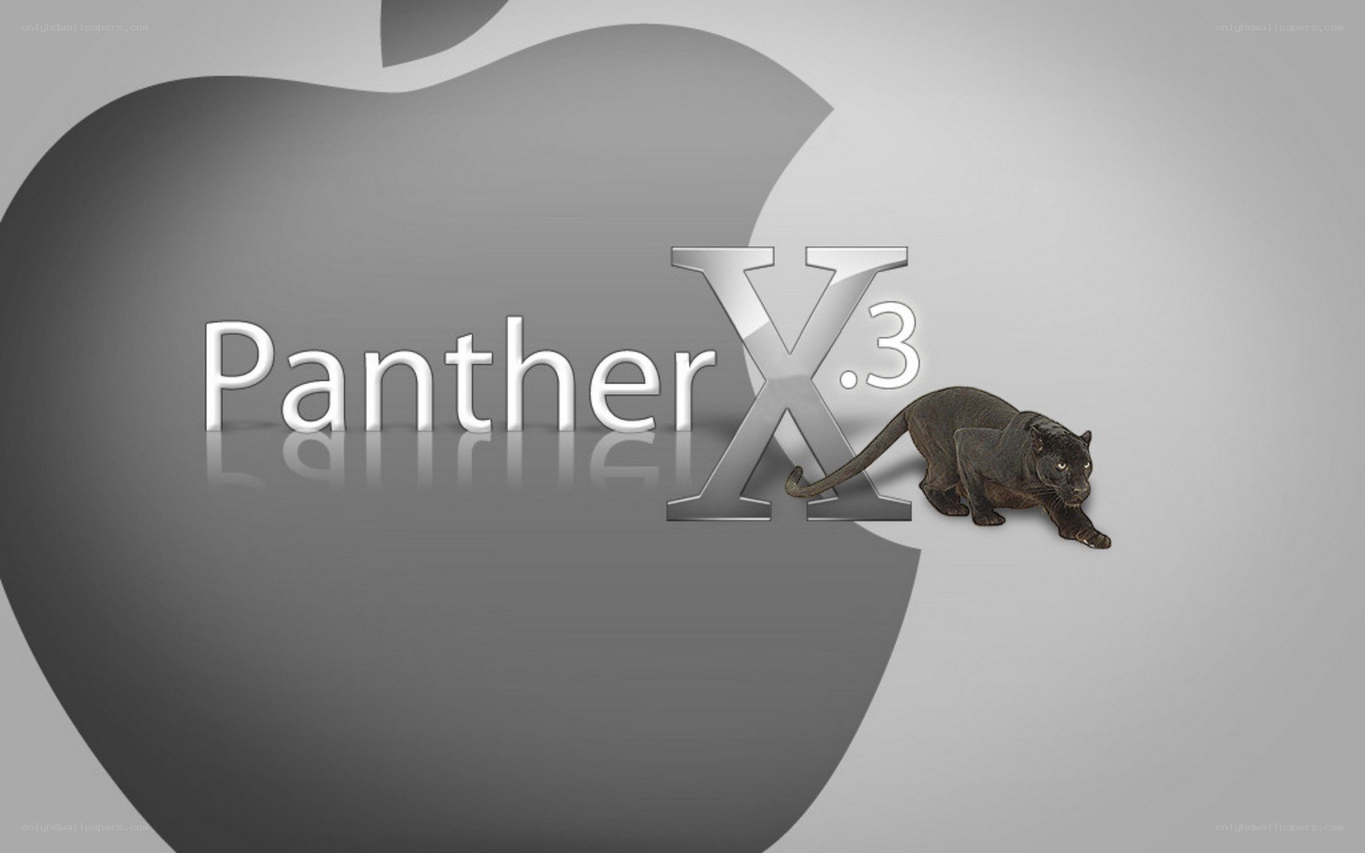 Panther X.3 logo with panther