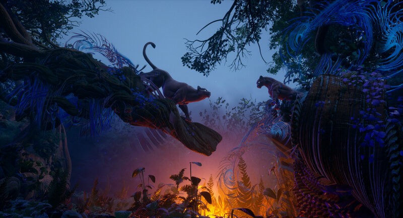 Panthers in Jungle