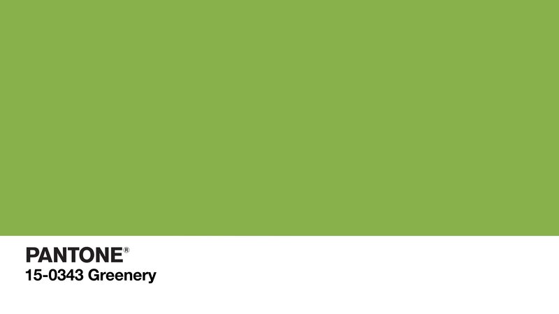 Pantone Color Swatch — Green, Neutral