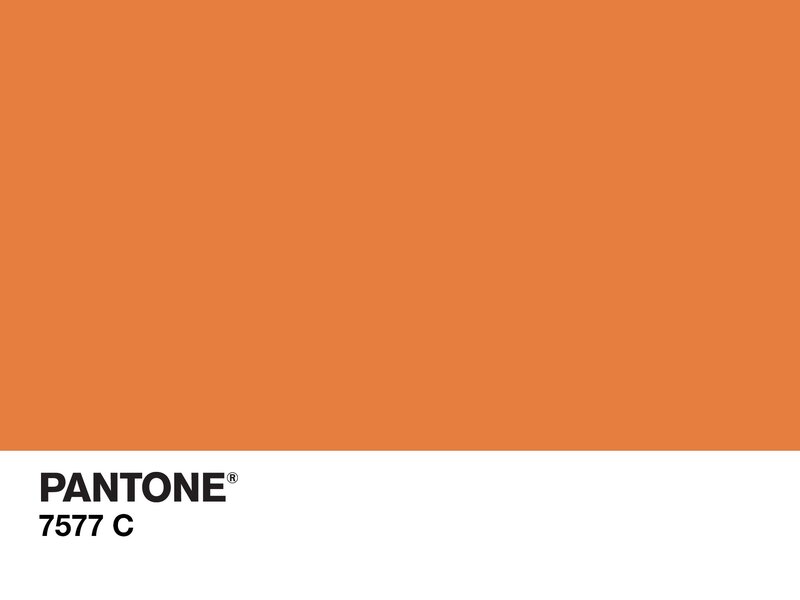 Pantone Color Swatch — Orange, Neutral