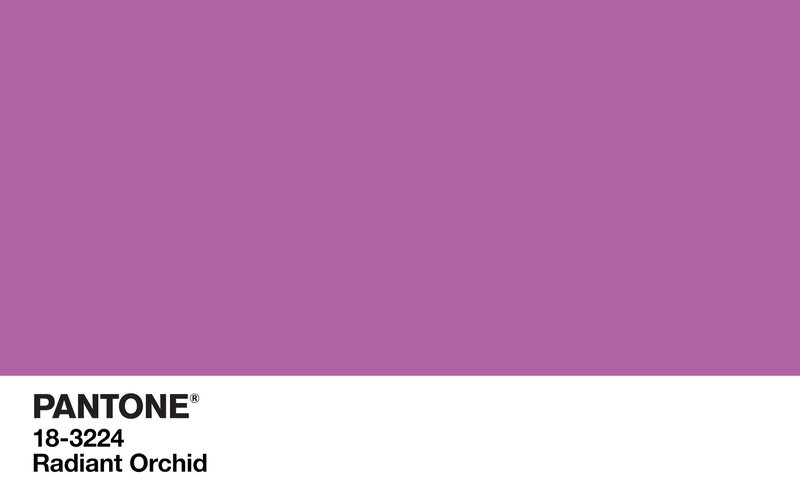 Pantone Color Swatch — Purple