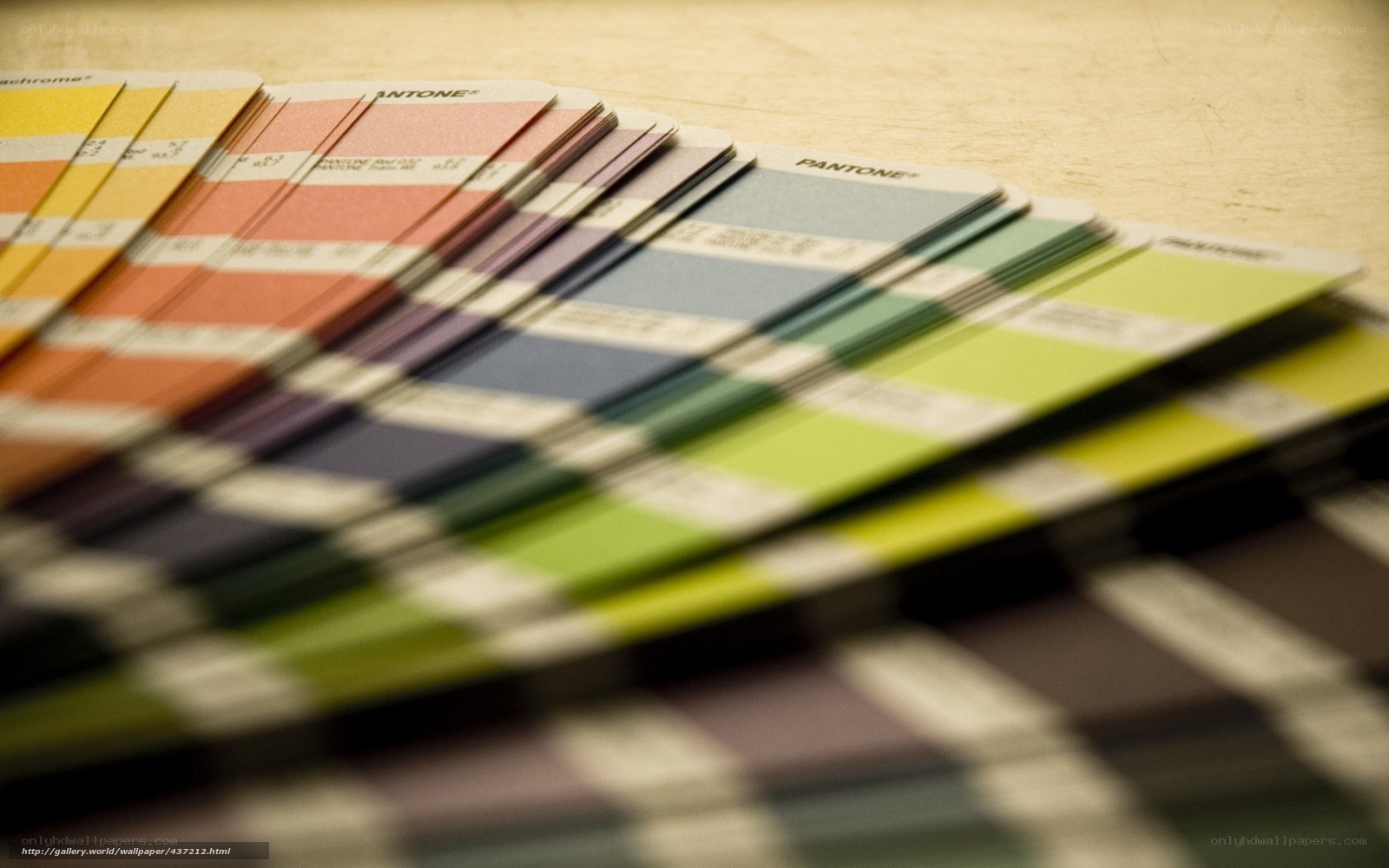Pantone color swatches