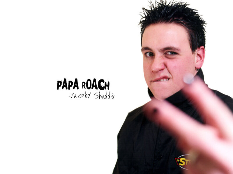 Papa Roach band member