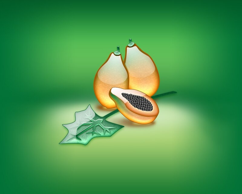 papaya fruit illustration