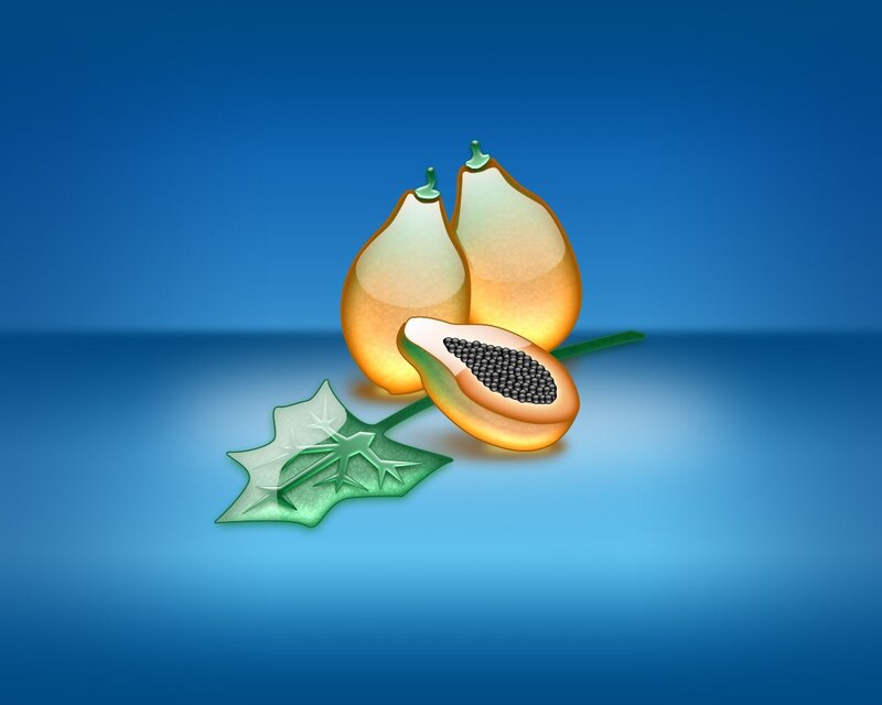 papaya fruit illustration
