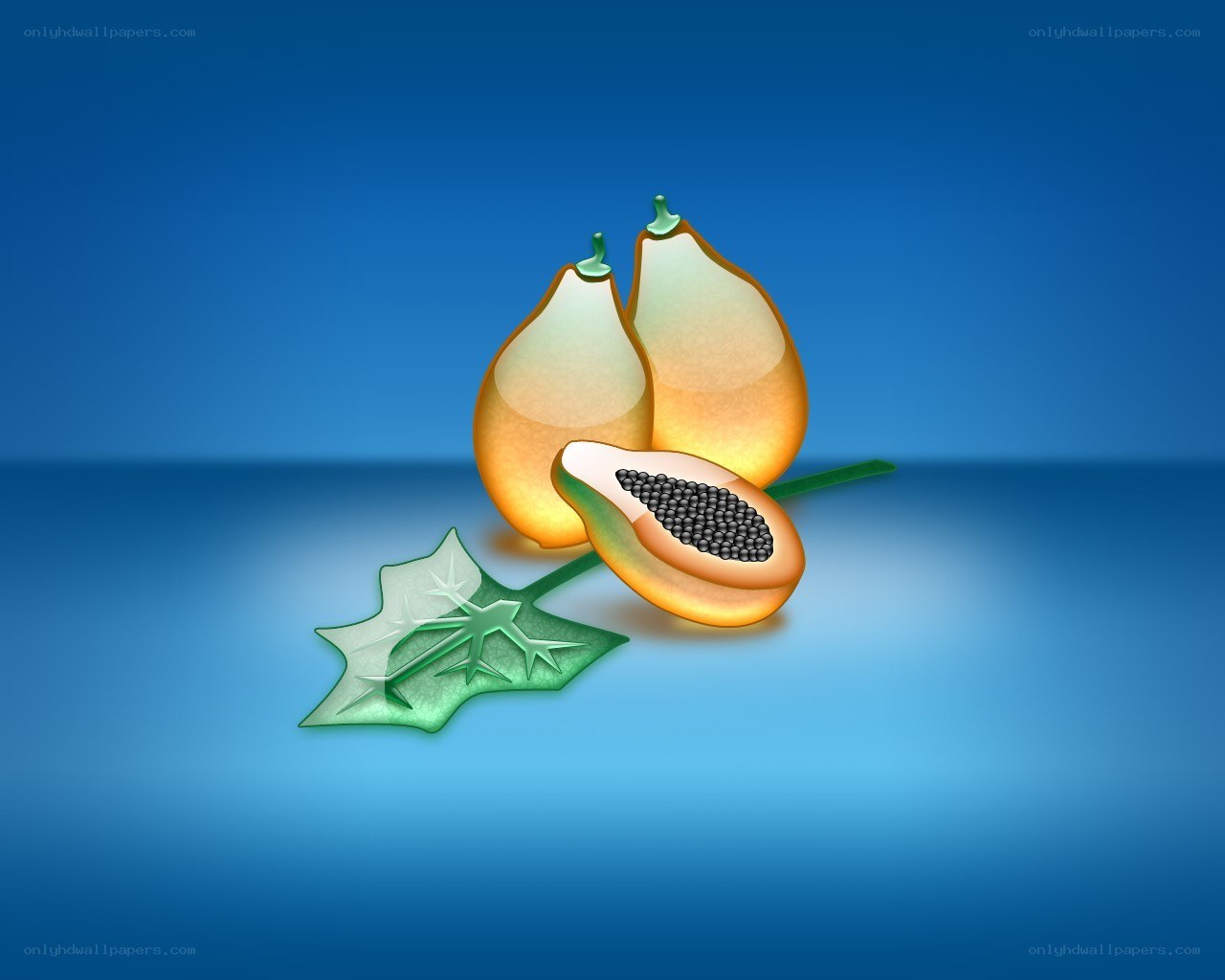 papaya fruit illustration