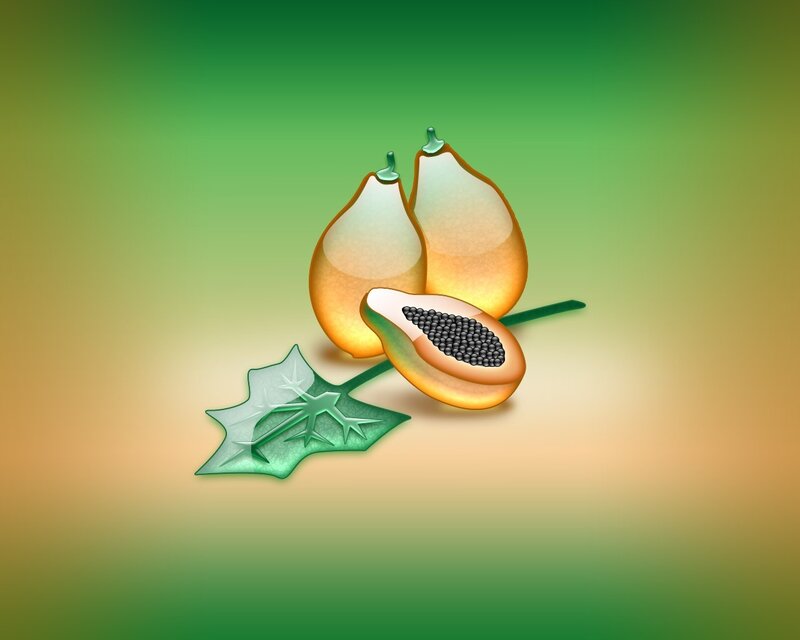Papaya Fruit with Leaf