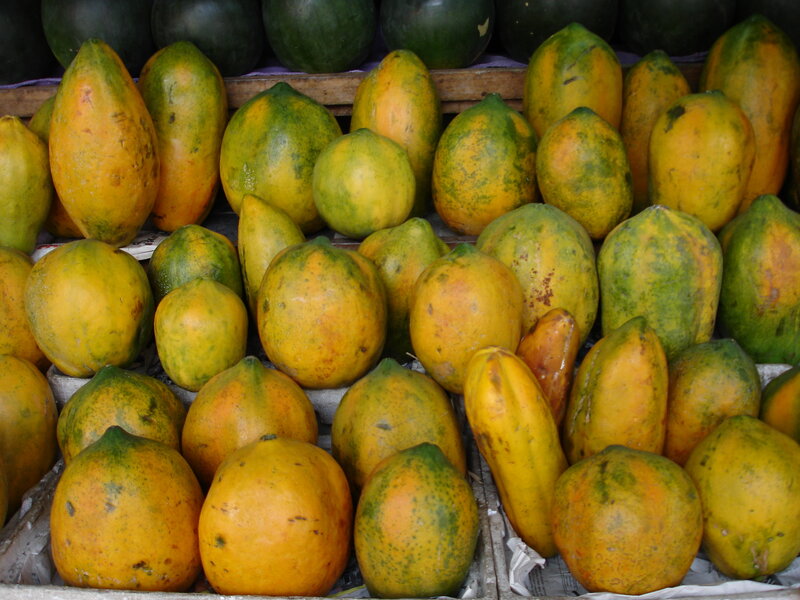 Papayas for sale at market