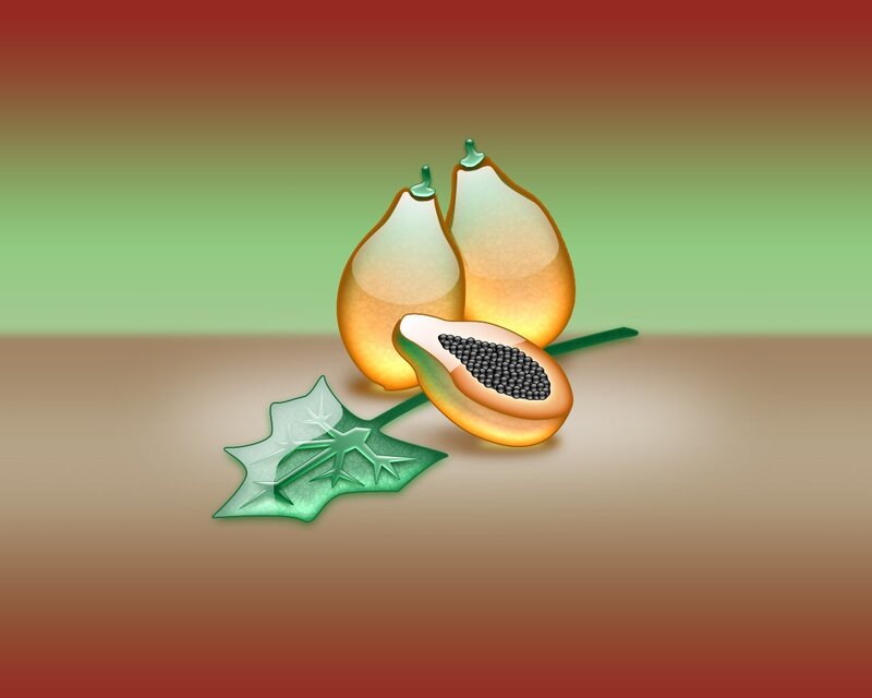Papayas with leaf illustration