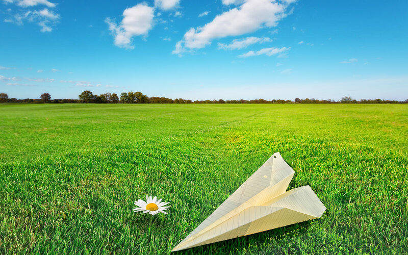 Paper Airplane in Grass