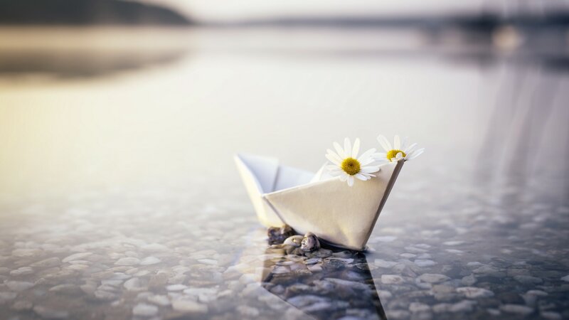 Paper Boat with Daisies