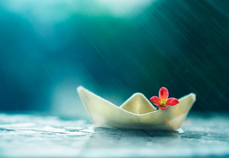 Paper Boat with Flower — Blue, Serene