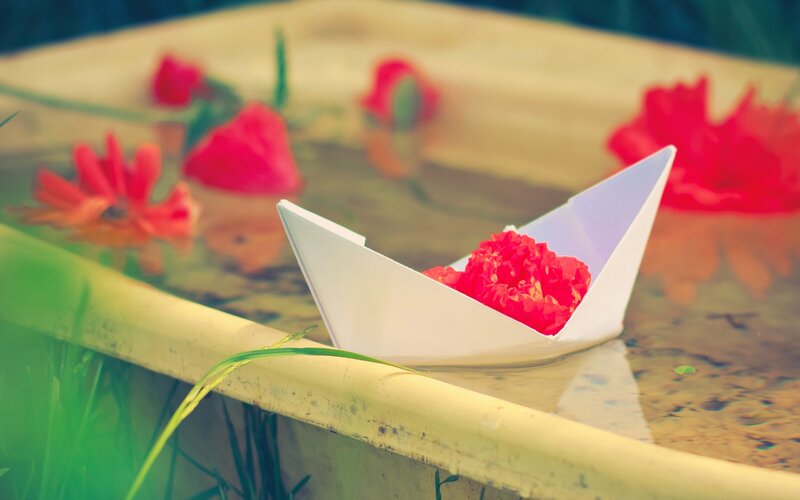 Paper boat with flower on water