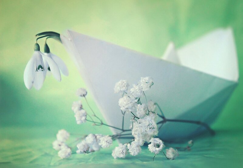 Paper Boat with Flowers