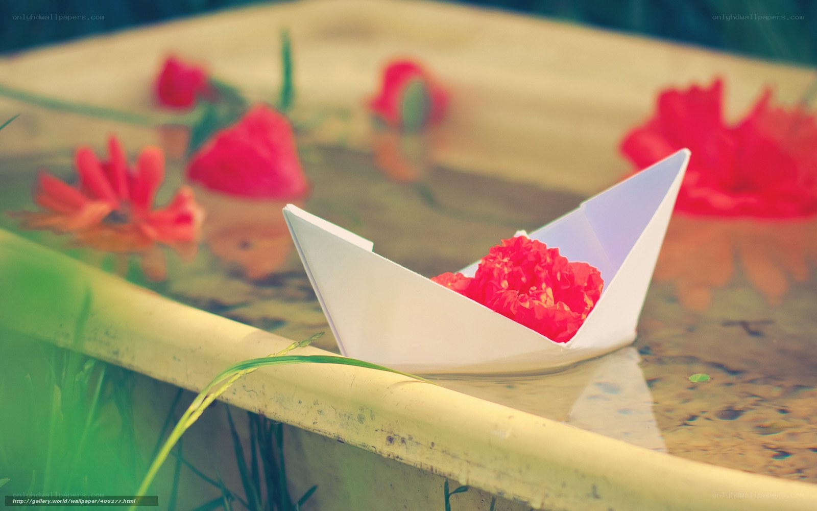 Paper boat with red flower