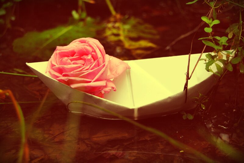Paper Boat with Rose