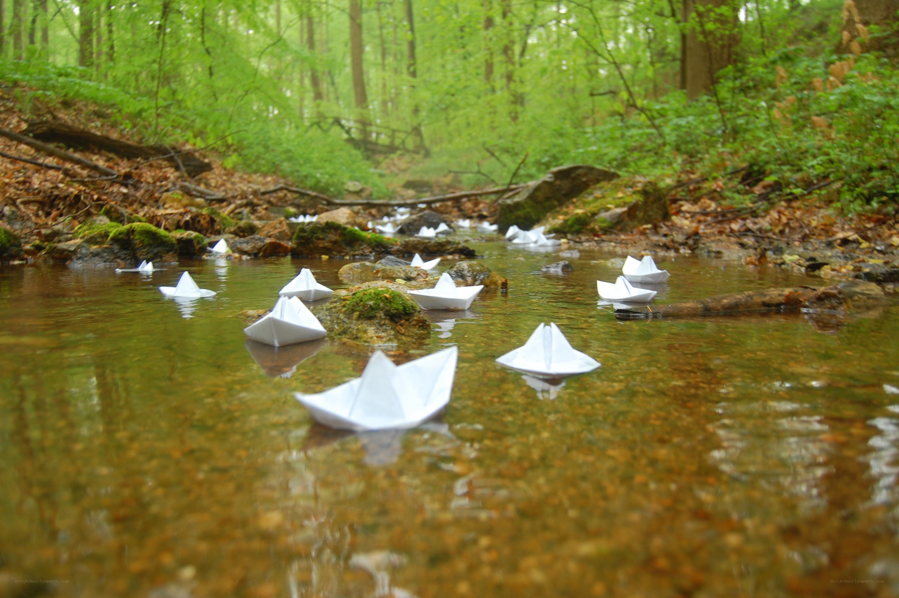 Paper boats in a forest stream
