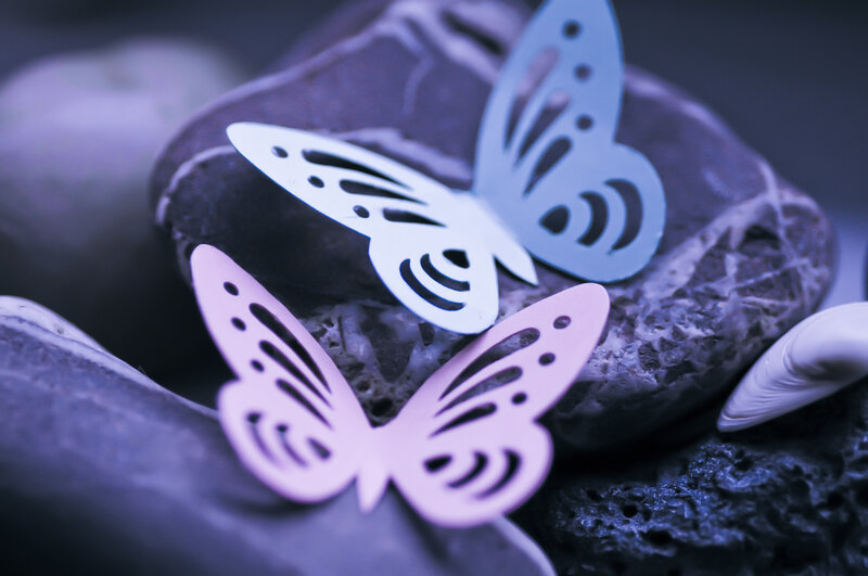 Paper Butterflies on Rocks