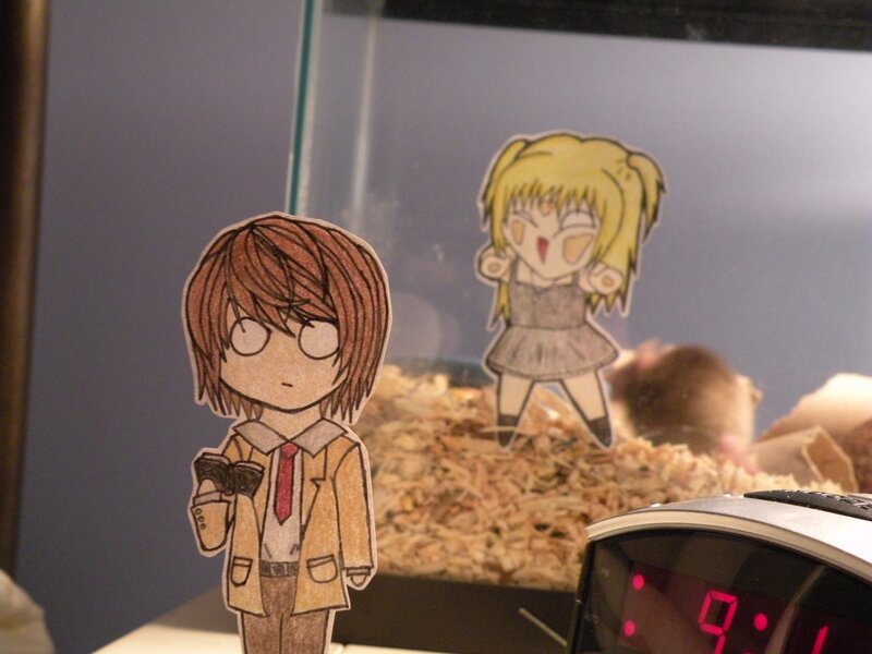 Paper Cutouts in Hamster Cage