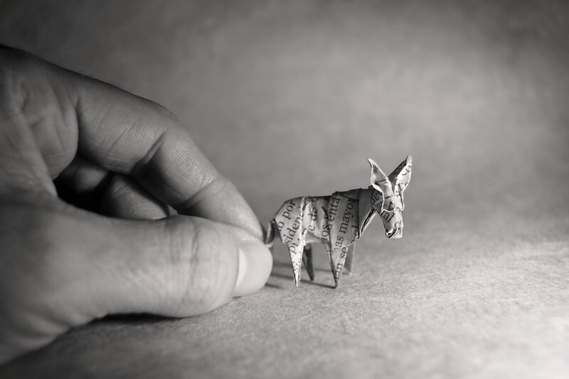 Paper Origami Donkey