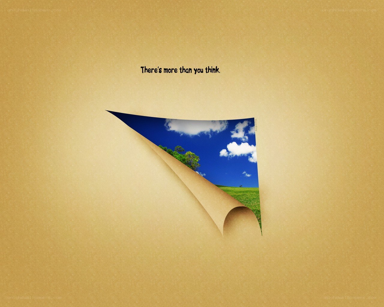 Paper peel reveals nature