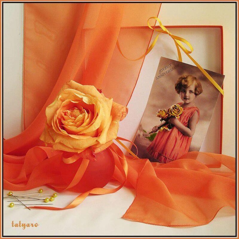 Paper Rose and Postcard