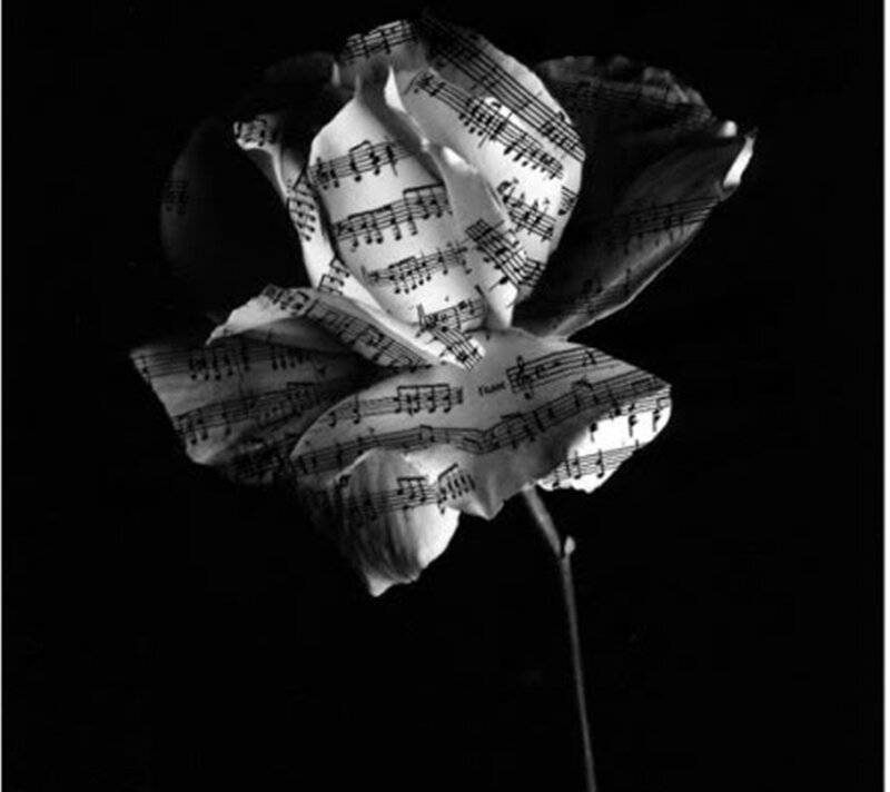 Paper Rose from Sheet Music — Black