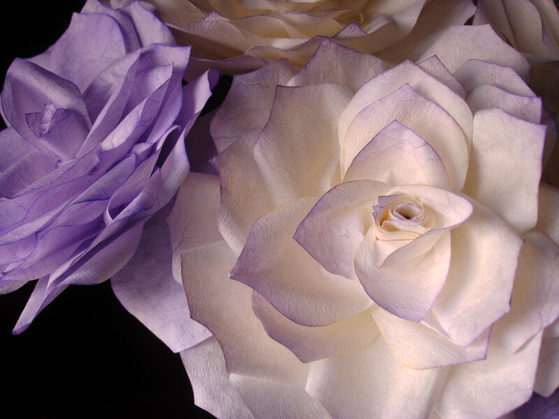 Paper Roses