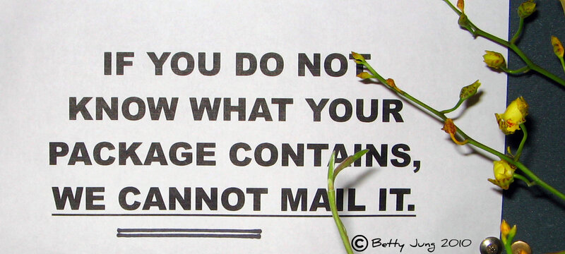 Paper with Text and Flowers