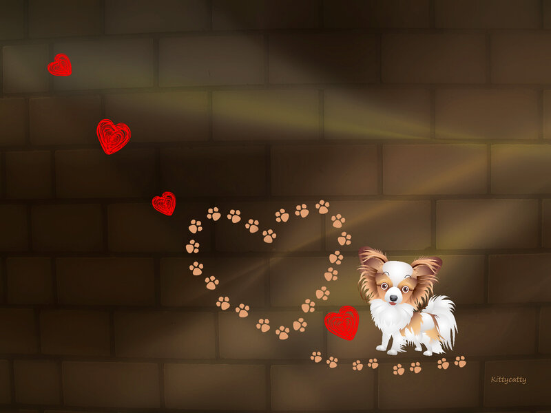 Papillon Dog on Brick Wall