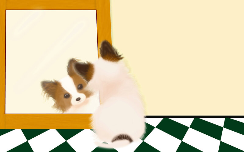 Papillon Puppy in Doorway